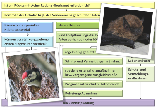 Schema 2.jpg