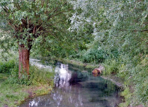 Artikelbild